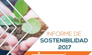 Informe sostenibilidad 2017-01